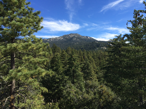OurView