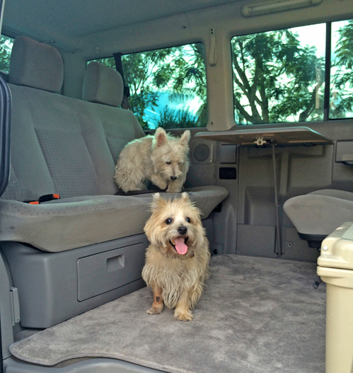 Tabler Camping