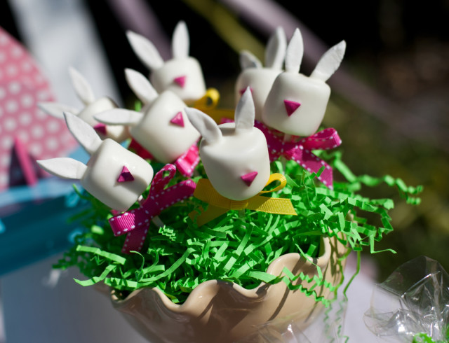 bunny