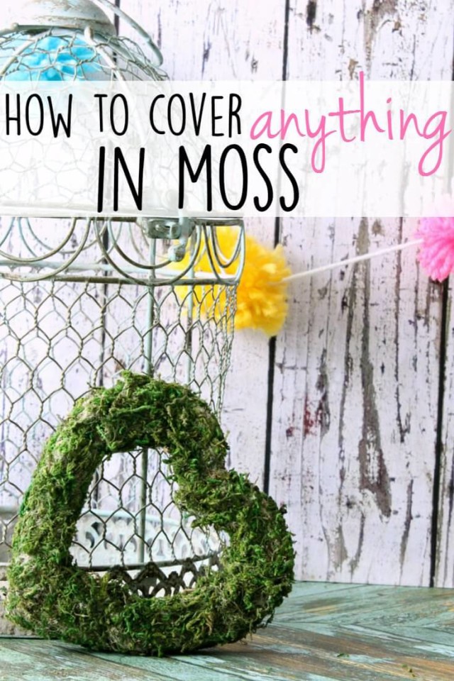 moss