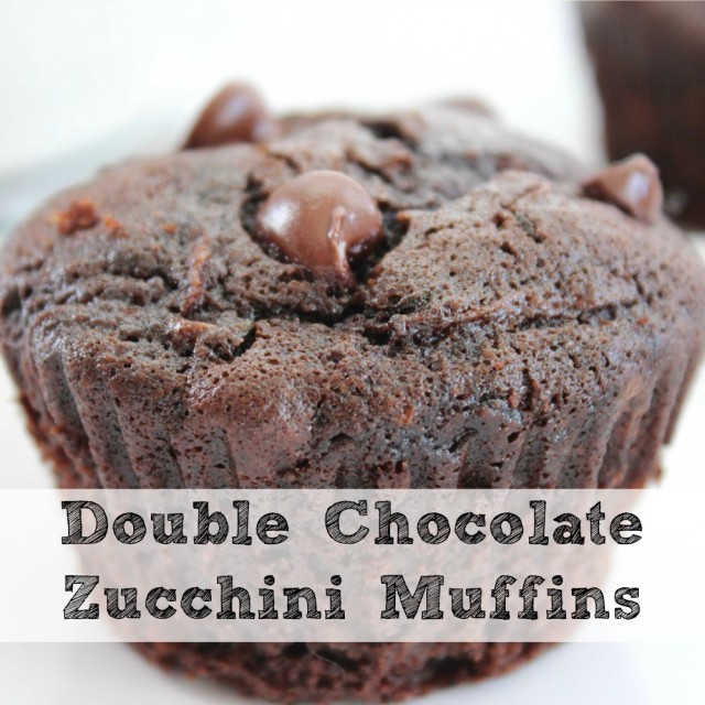 Double-Chocolate-Zucchini-Muffins-sq