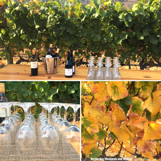 Bernardus Winery in Monterey County is gorgeous! TablerPartyofTwo.com