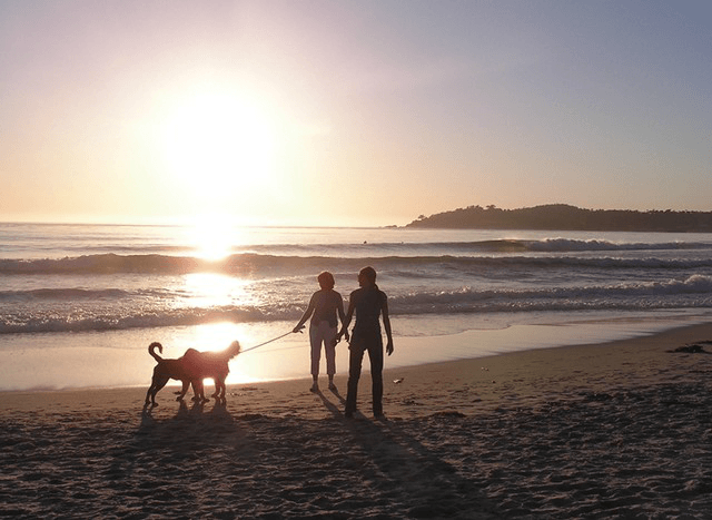 Super dog friend Carmel Beach where your pooch can frolic in the waves leash free! Tabler Party of Two