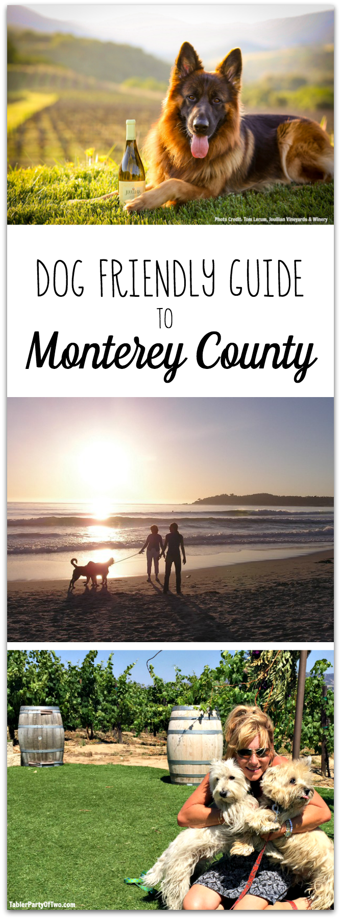 This Dog Friendly Guide to Monterey County in California is just what you need to plan your next adventure with your furry friends! You'll find info on hotels, restaurants, shopping, hiking, beaches, and more in this helpful guide! TablerPartyofTwo.com