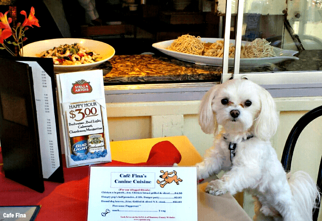 Cafe Fina in Monterey County welcomes dogs! TablerPartyOfTwo.com