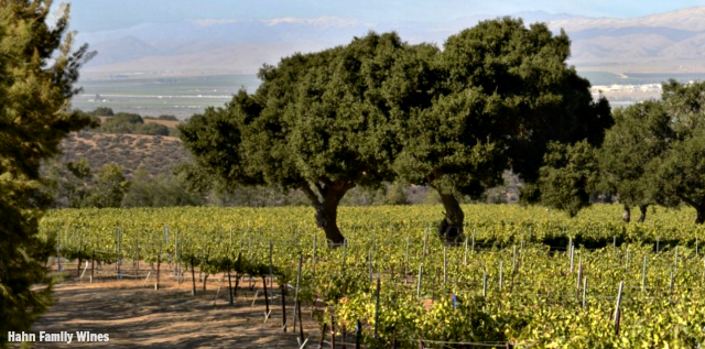 Enjoy a picnic and taste wine on the deck of Hahn Family Wines! TablerPartyofTwo.com